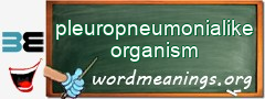 WordMeaning blackboard for pleuropneumonialike organism